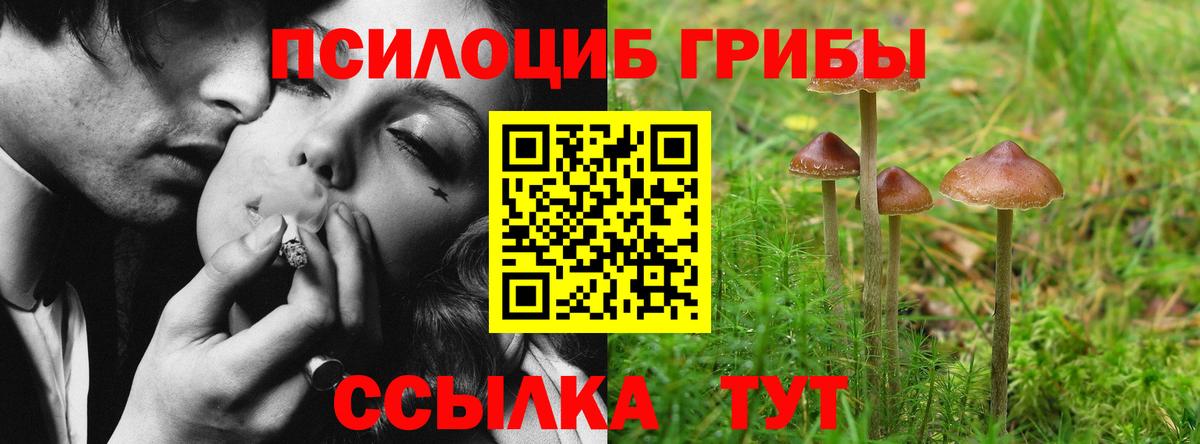 Псилоцибиновые грибы прущие грибы Тула
