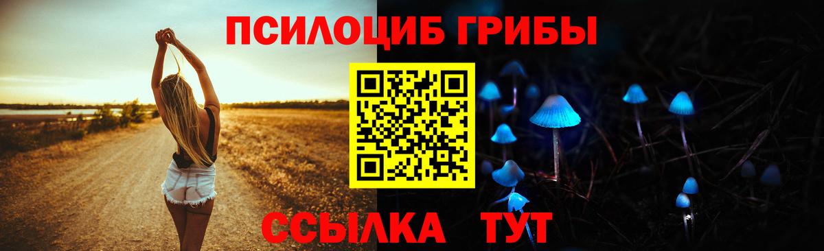 Тула  Галлюциногенные грибы Psilocybe  Вход с VPN  Галлюциногенные грибы мицелий 